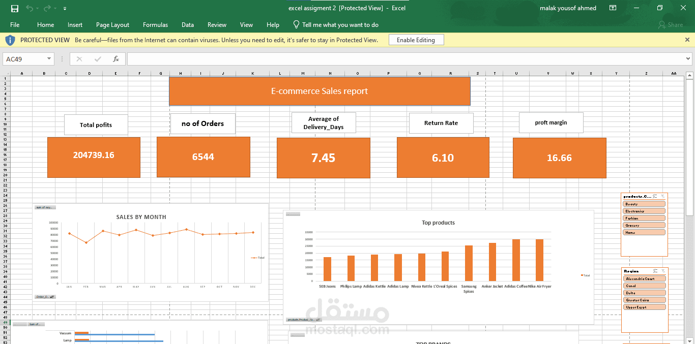 محللة بيانات