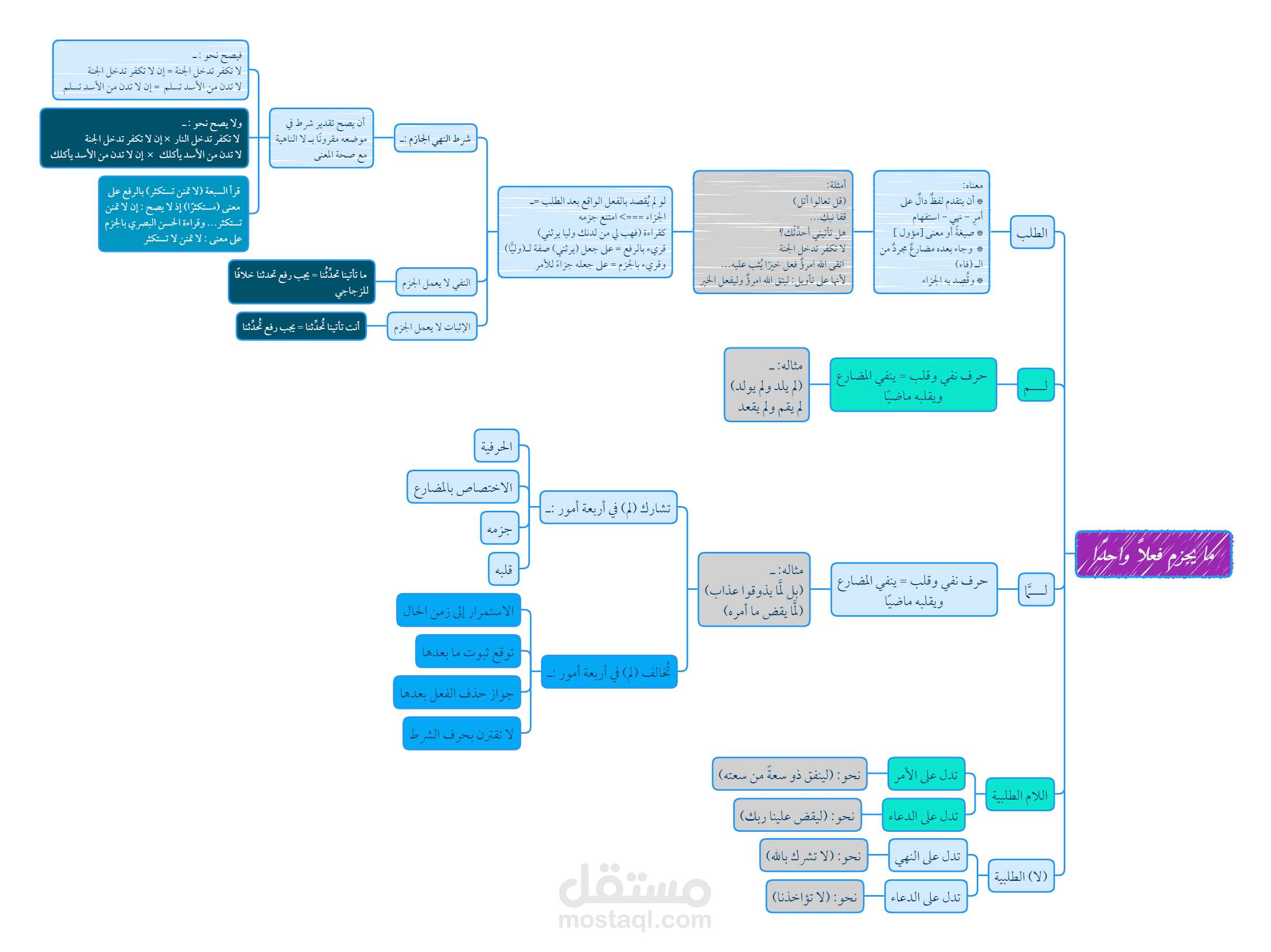ما يجزم فعلاً واحدًا_خريطة ذهنية