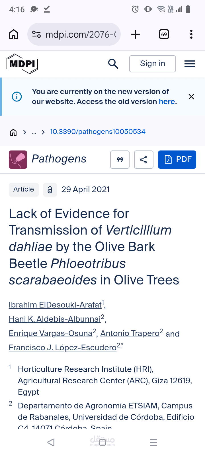 Lack of Evidence for Transmission of Verticillium dahliae by the Olive Bark Beetle Phloeotribus scarabaeoides in Olive Trees