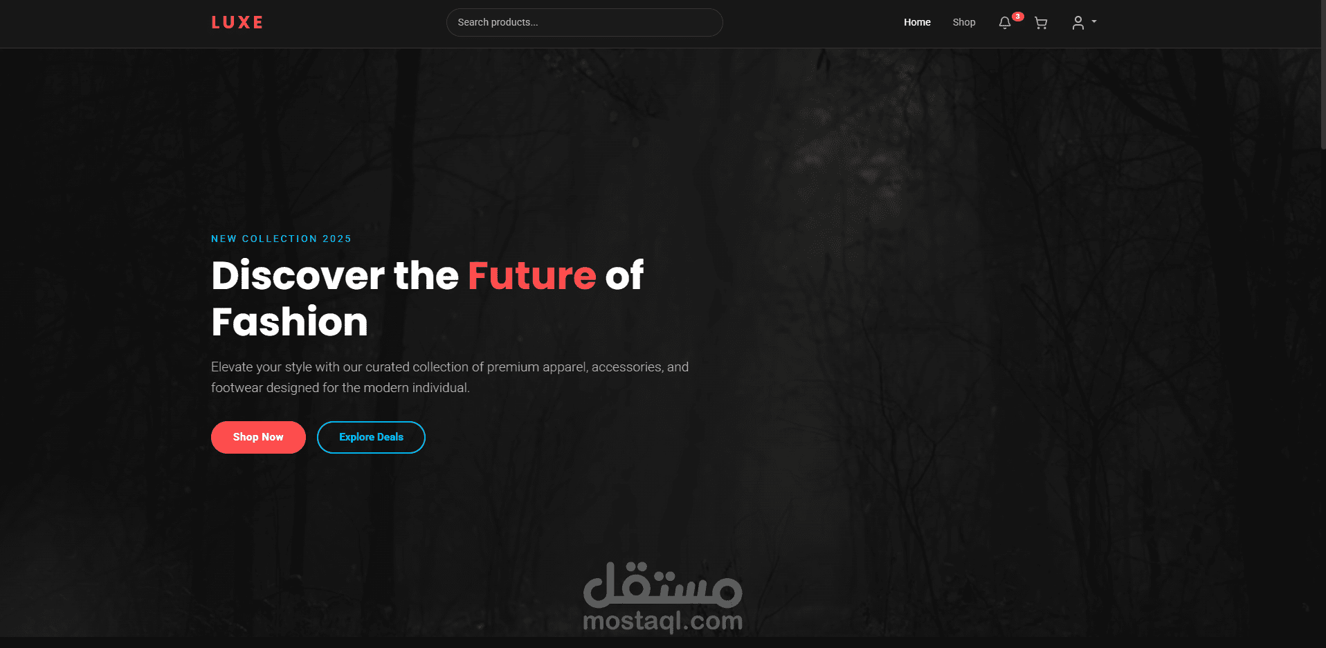 E-commerce website