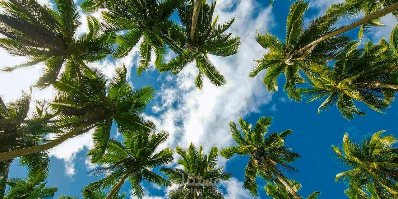 فديو كليب اجنبي