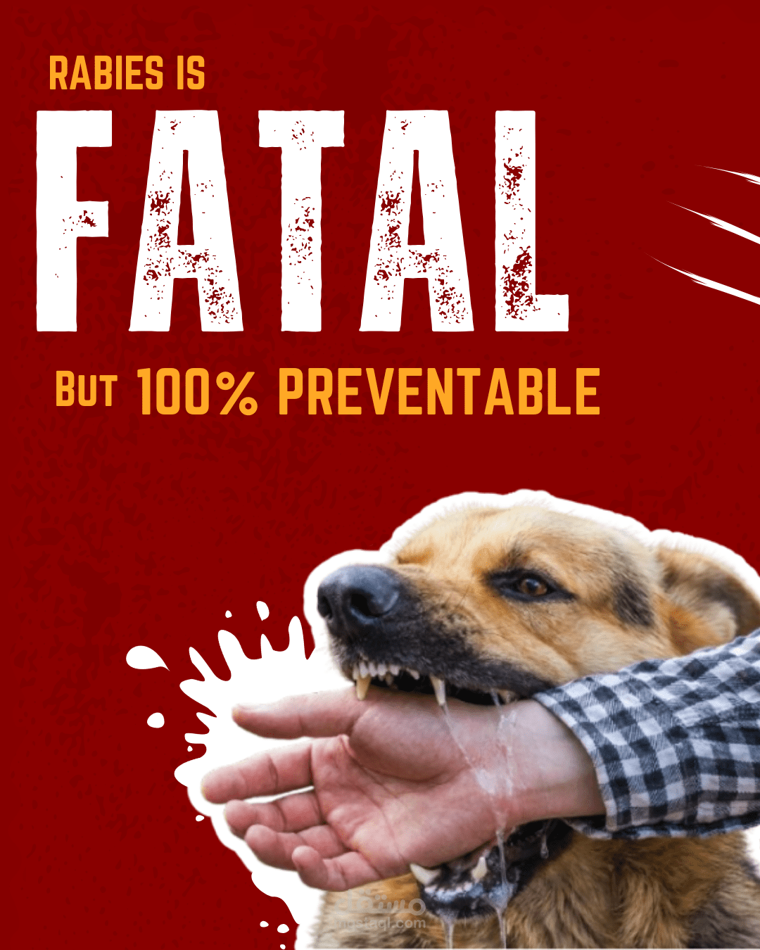 Instagram Carousel - Awareness against Rabies