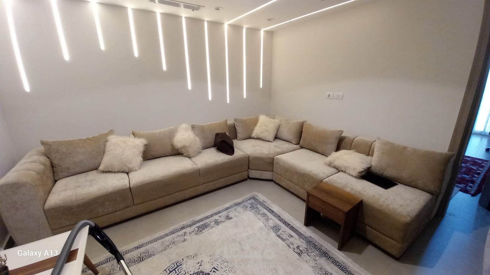 L-shape sofa for livinng room
