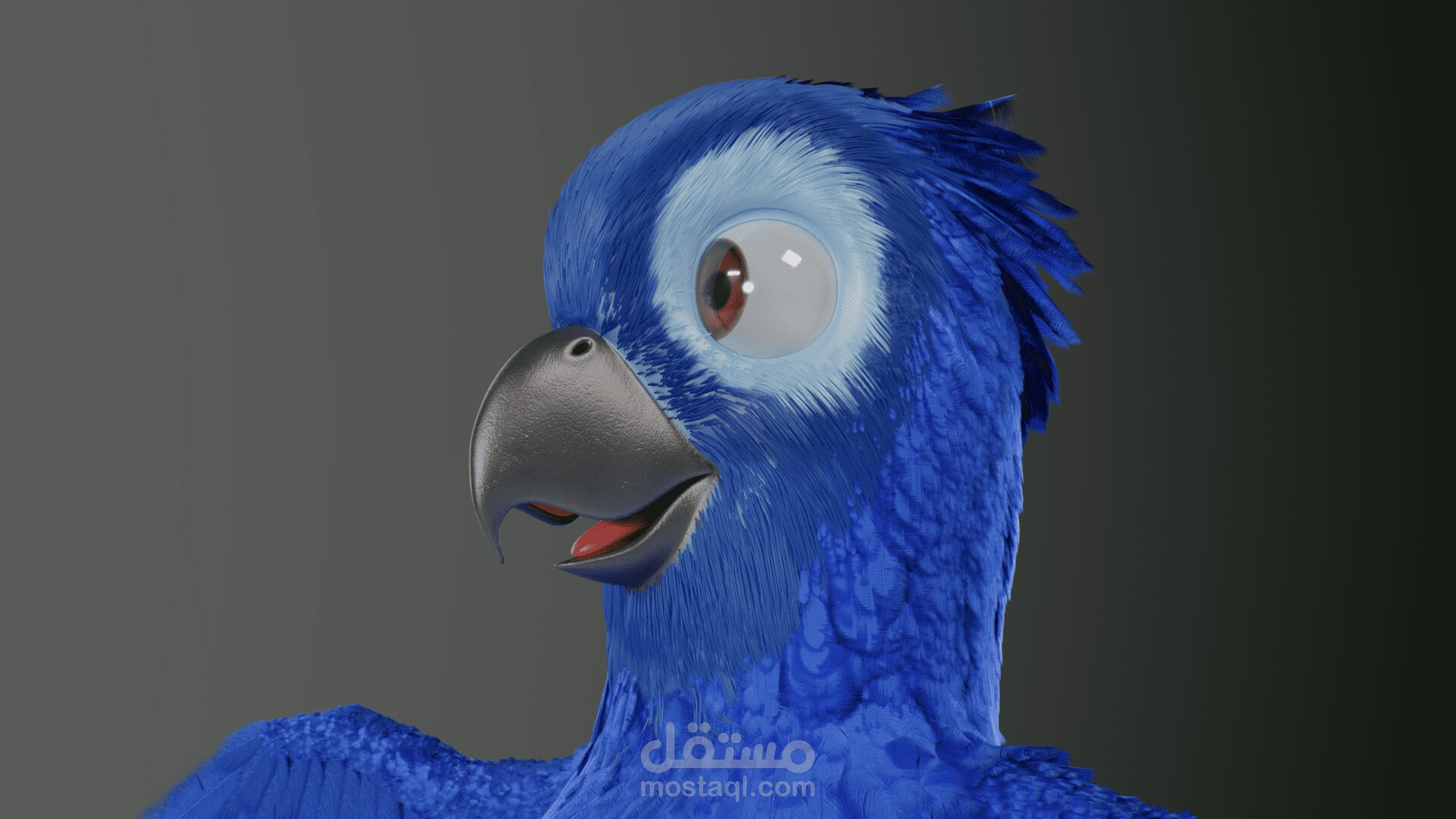 نموذج ثلاثي الأبعاد منخفض التفاصيل لطائر ببغاء كرتوني أجوا تم تصميمه باستخدام برنامج بلندر.