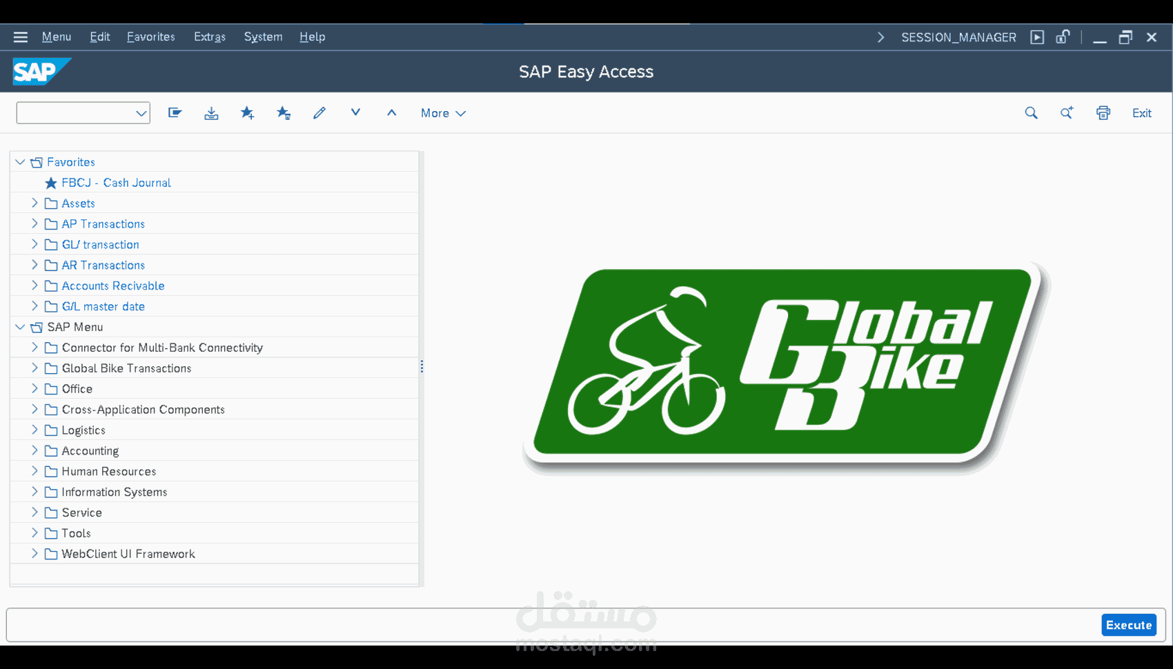محاسب وData Entry بخبرة في SAP  & Data Entry Specialist  وإدخال بيانات باحترافية