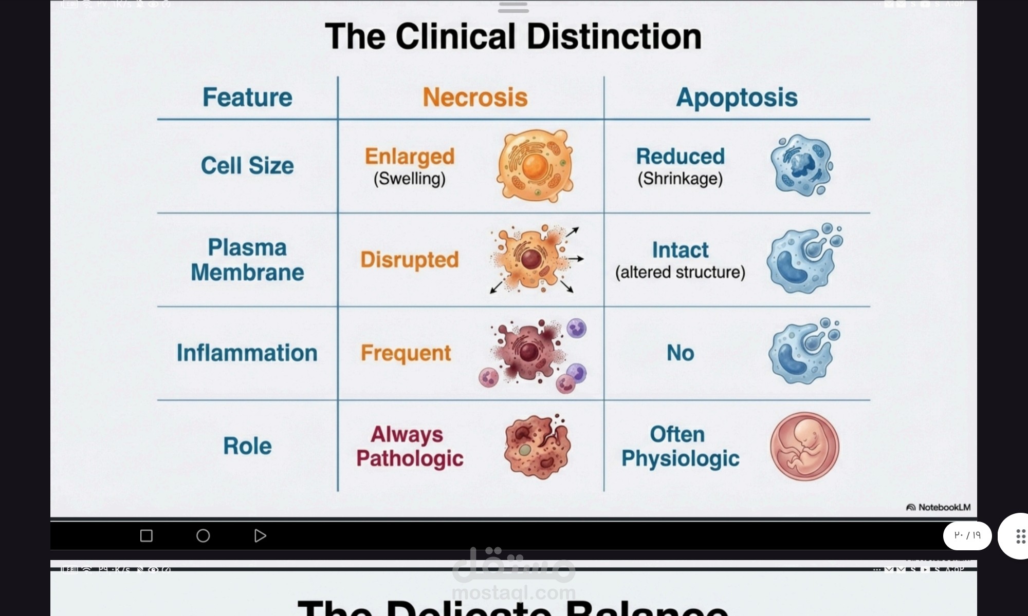 كتابة المحتوى وتلخيص الملفات