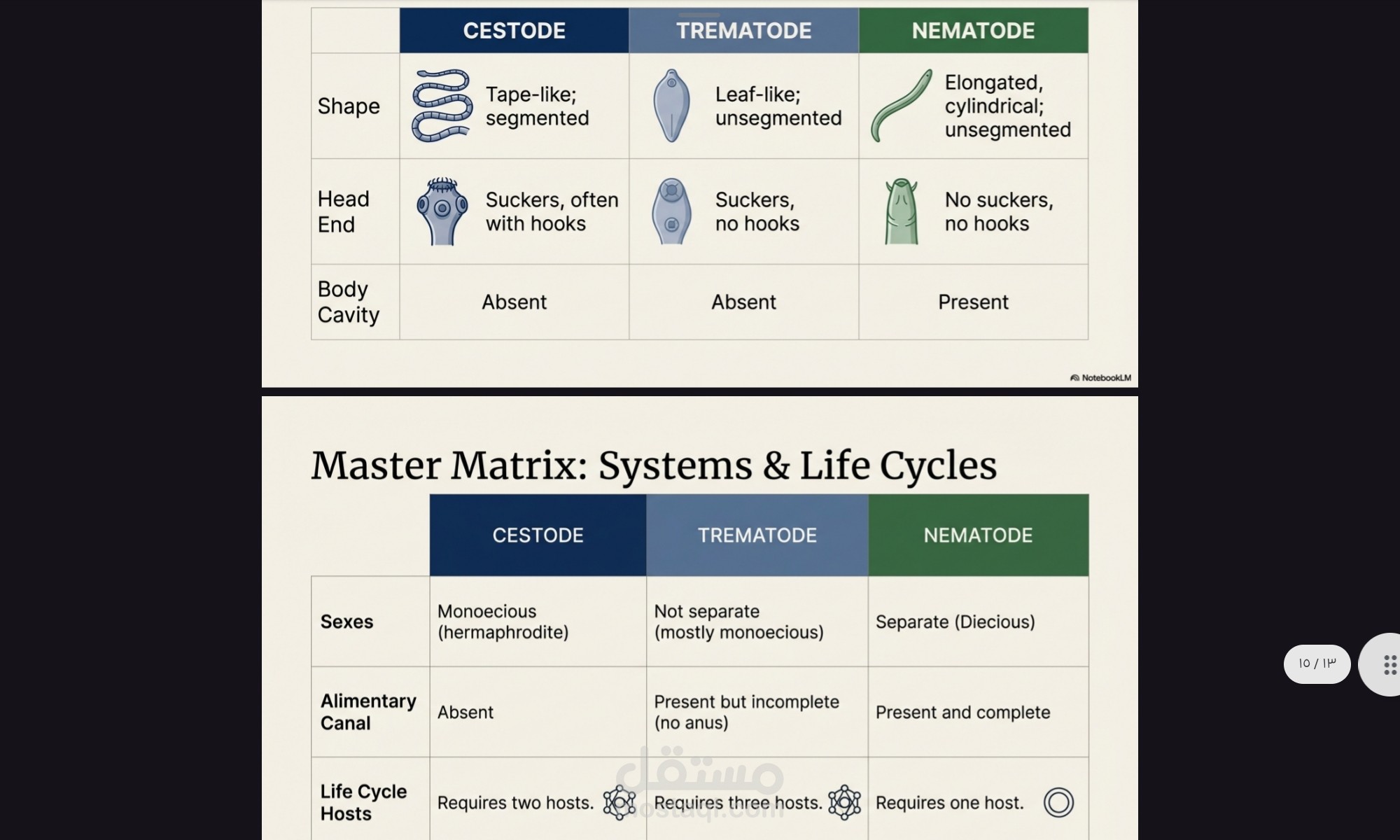 تصميم جداول مقارنة لمادة الطفيليات الطبية.