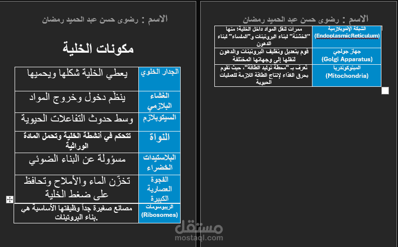 تفريغ فيديو تعليمي وتحويله لملف word منسق وجاهز للطباعه