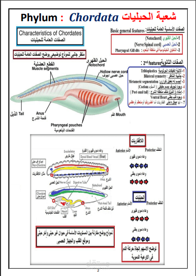 اعداد وتصميم ملخص تعليمي تفاعلي بصيغة pdf