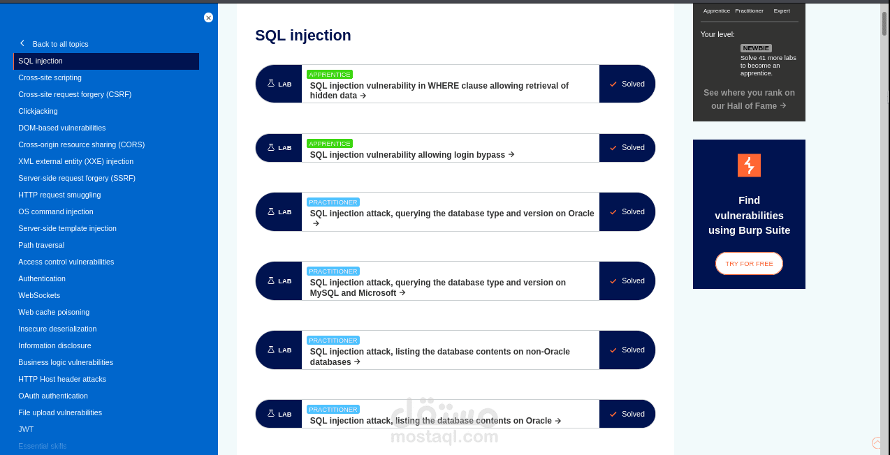 SQL labs in portswigger