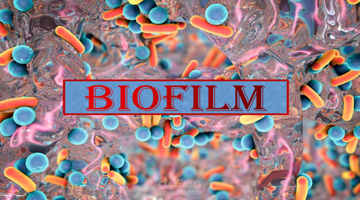 presentation about biofilm