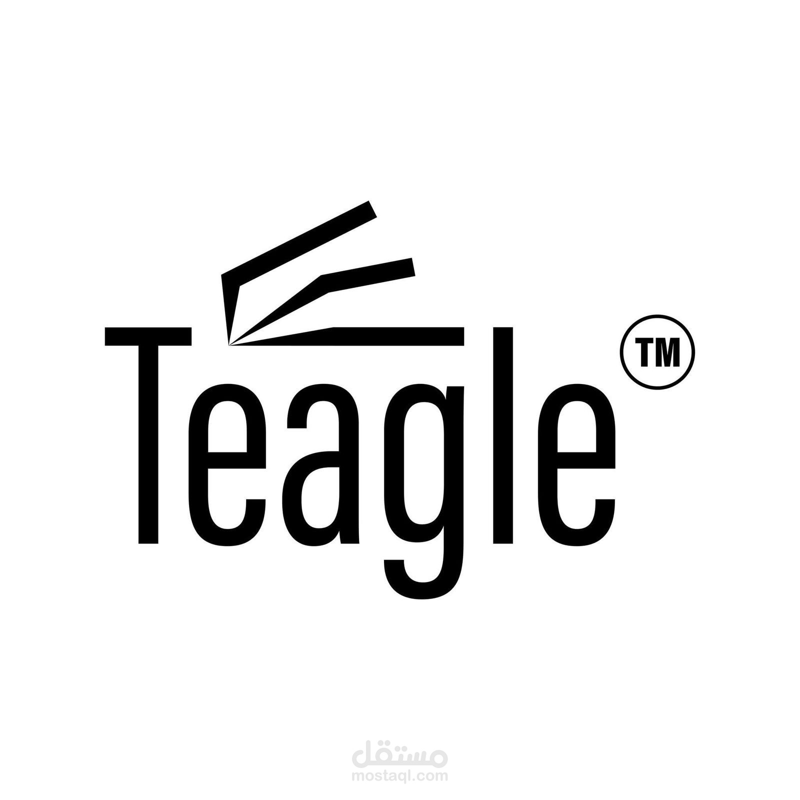 Teagle Marketing Plan & Strategy