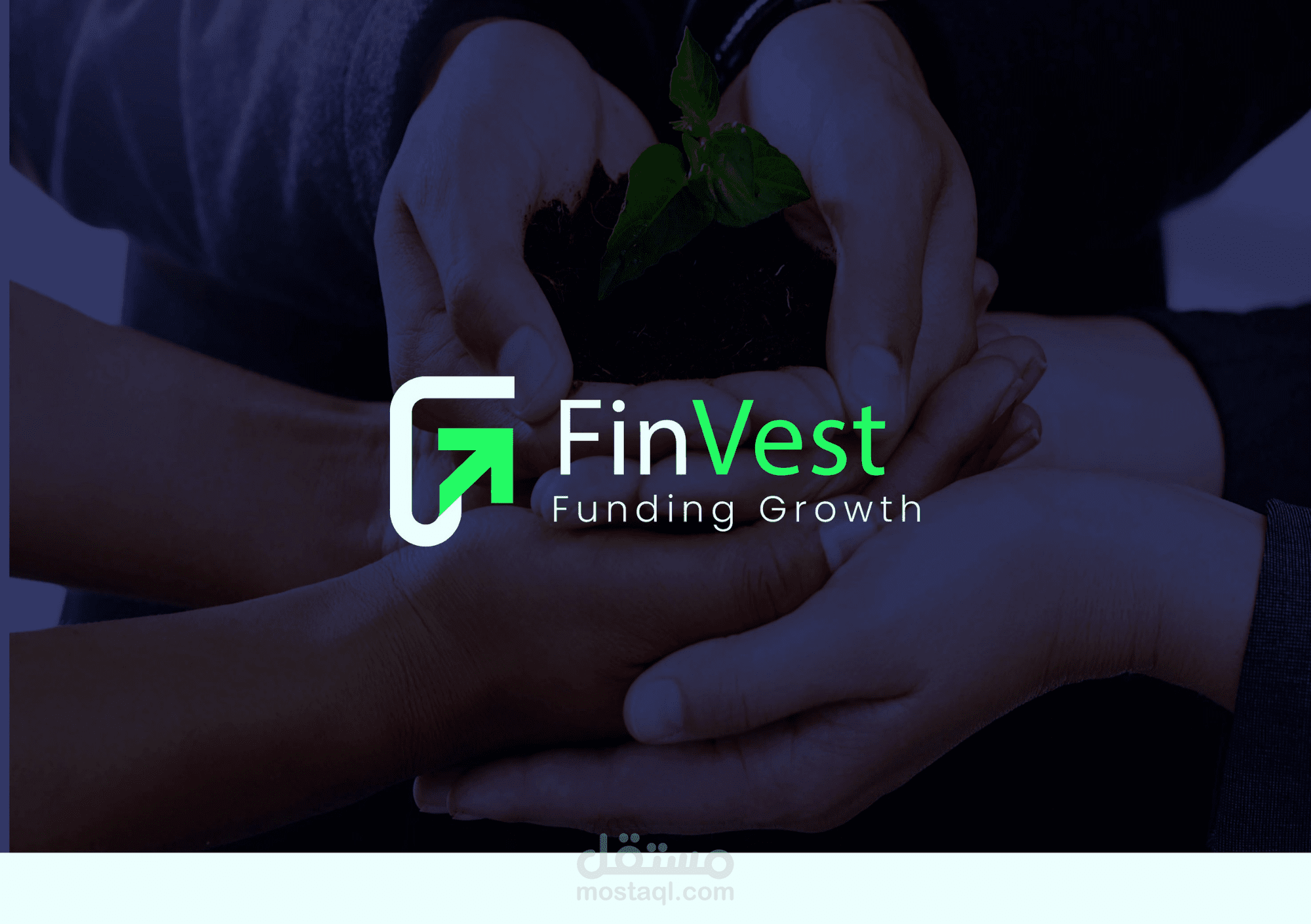 Visual Identity for Finvest