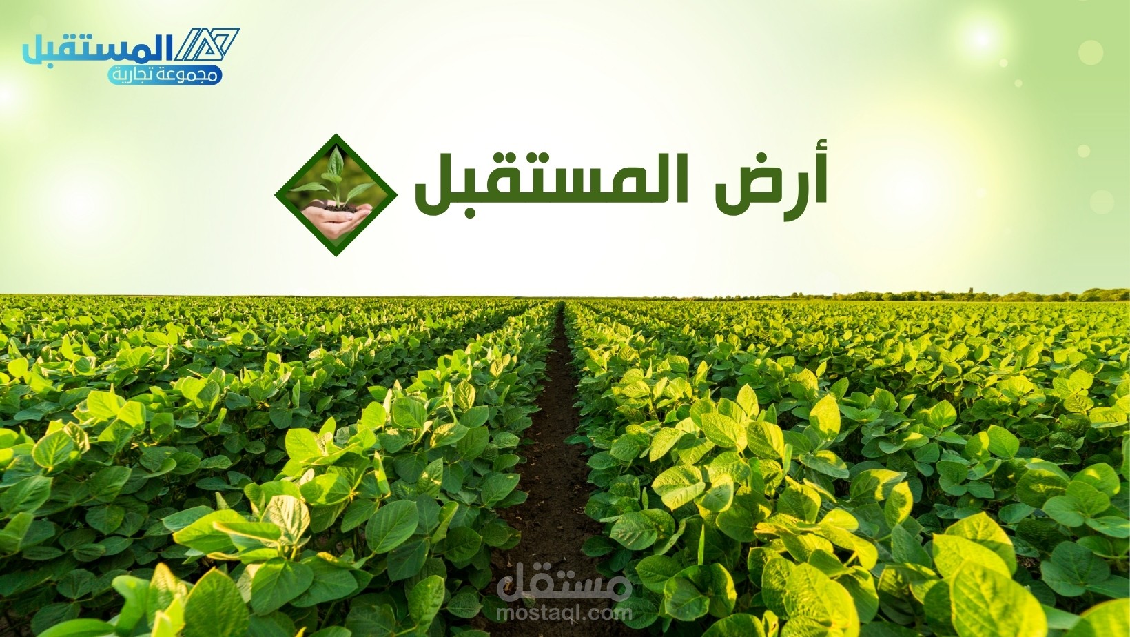 تصميم بوست اعلاني لشركة توريدات اسمنت