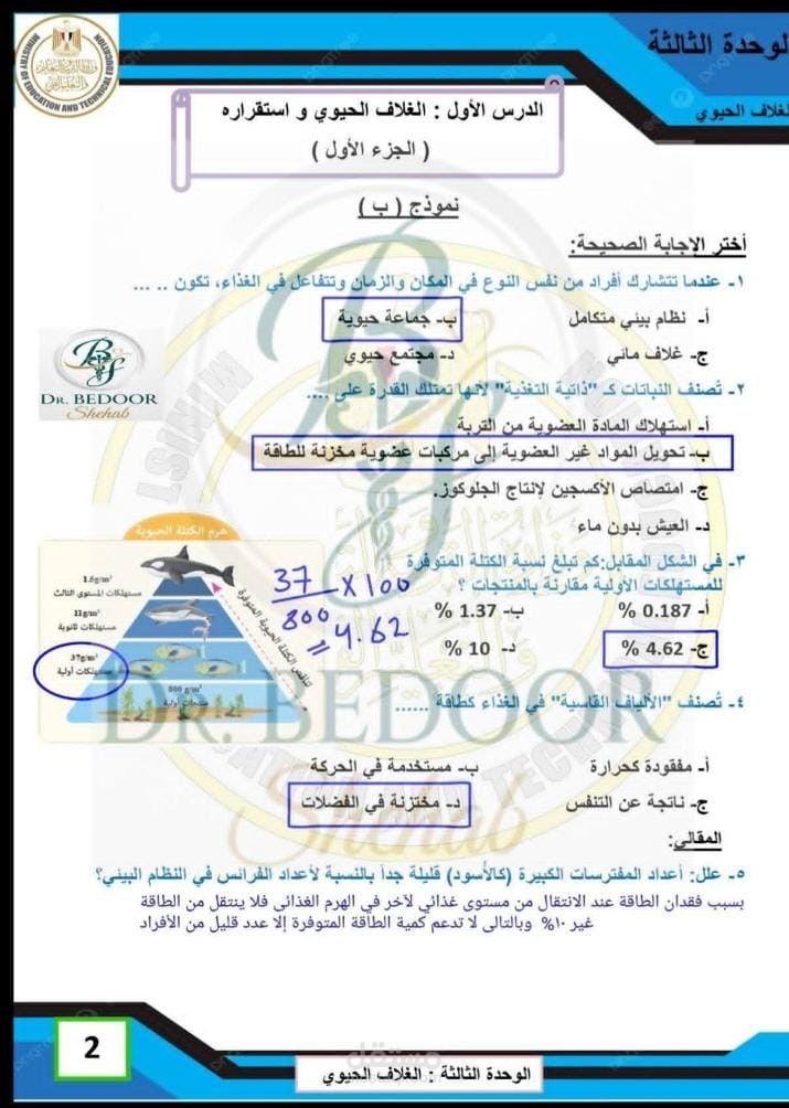 كاتب محتوى