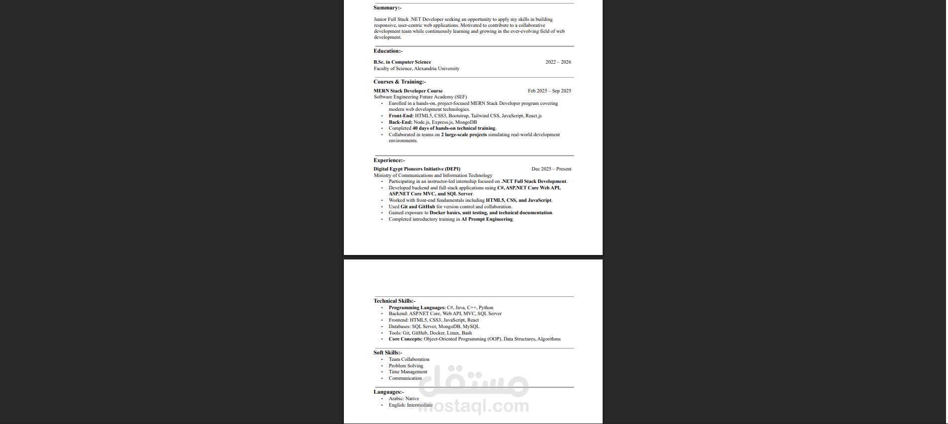 إعداد وتصميم سيرة ذاتية احترافية Word/PDF