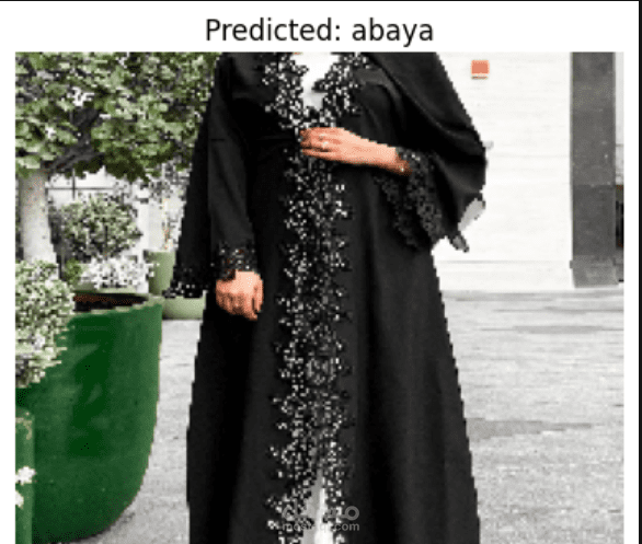 Clothing Type Classification Using Transfer Learning with Focus on Traditional Jordanian Garments