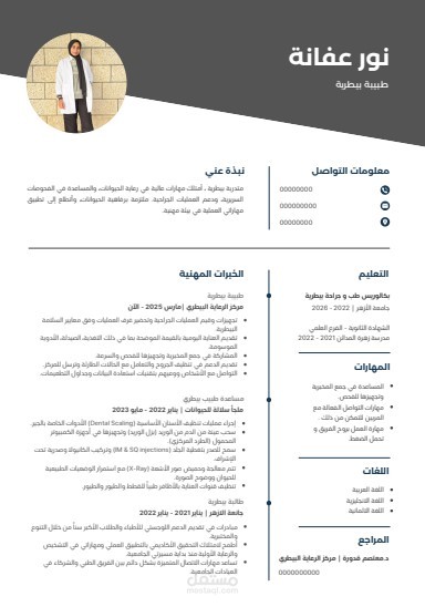 كتابة سيرة ذاتية احترافية باللغة العربية و الانجليزية