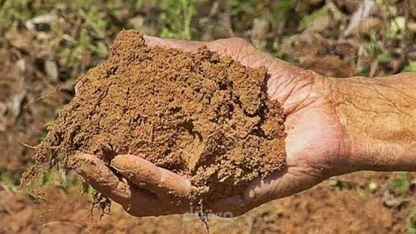 قصيدة الطين