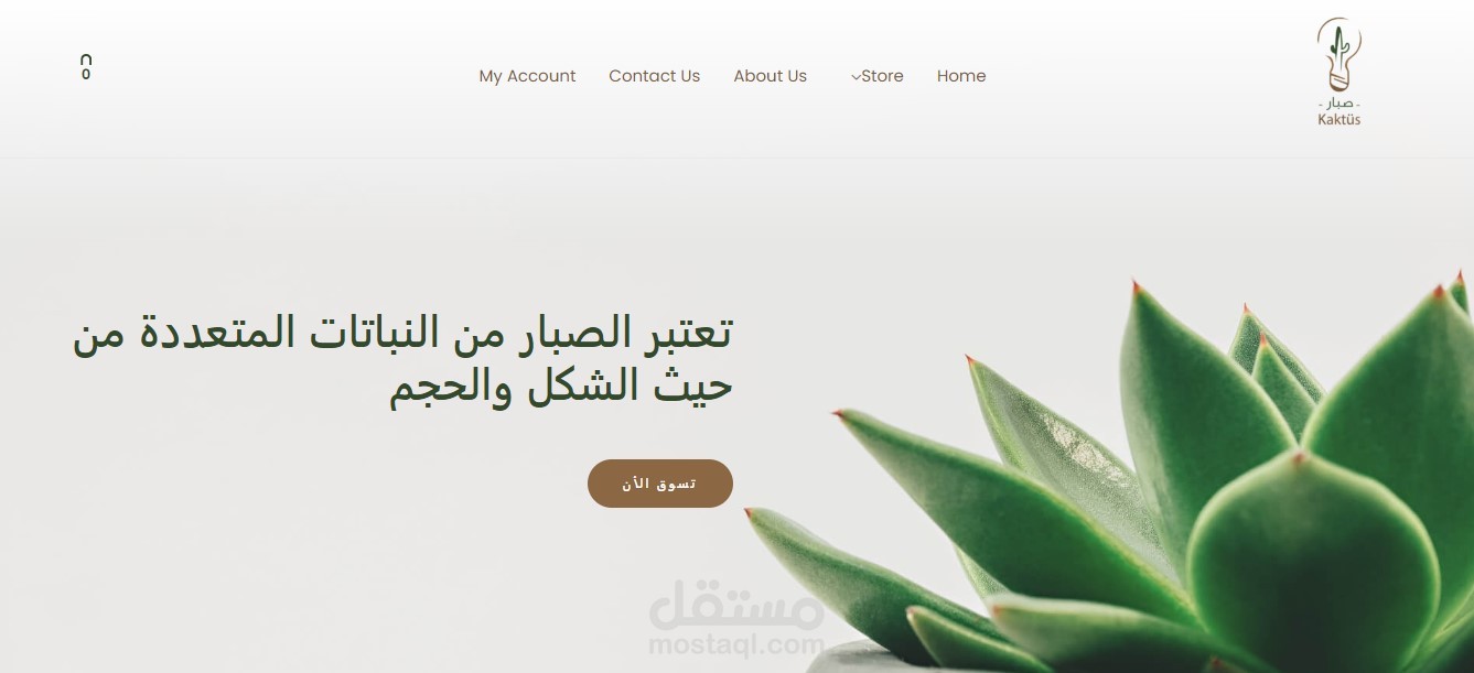 متجر الكتروني كاكتوس