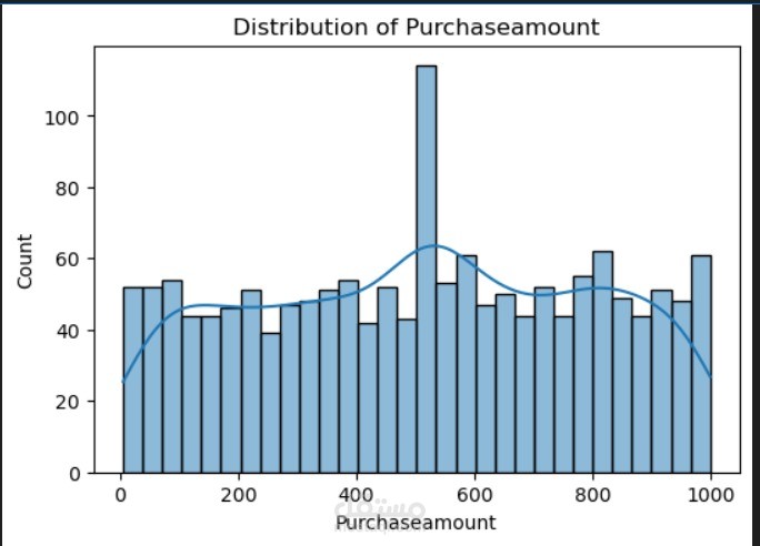 Analysis Customer Data Using Python