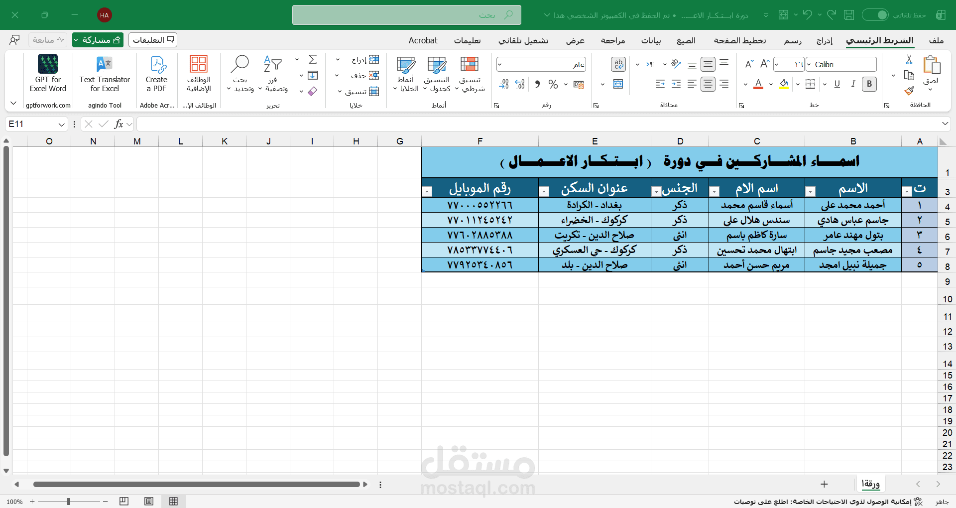 أسماء دورة ابـــتـكــار الاعـــمـــال, اكسل