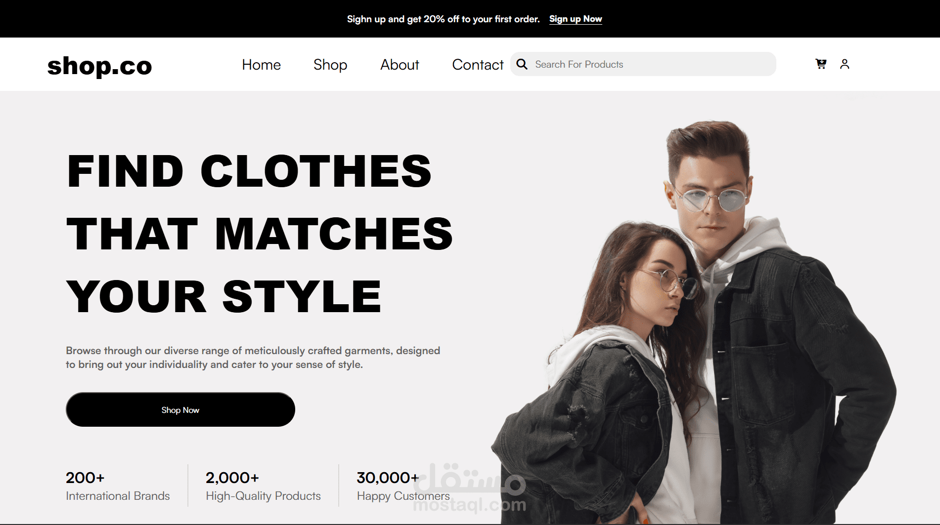 تصميم صفحات هبوط landing page