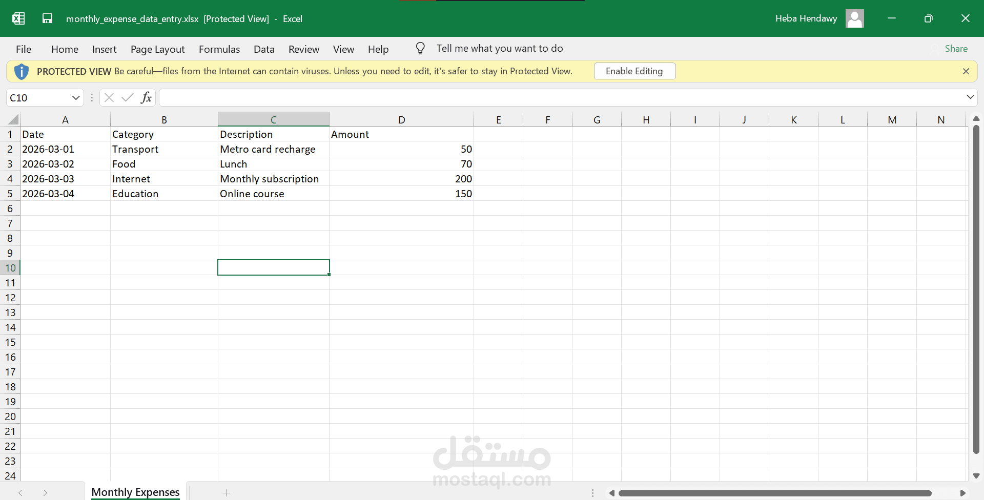 monthly_expense_data_entry