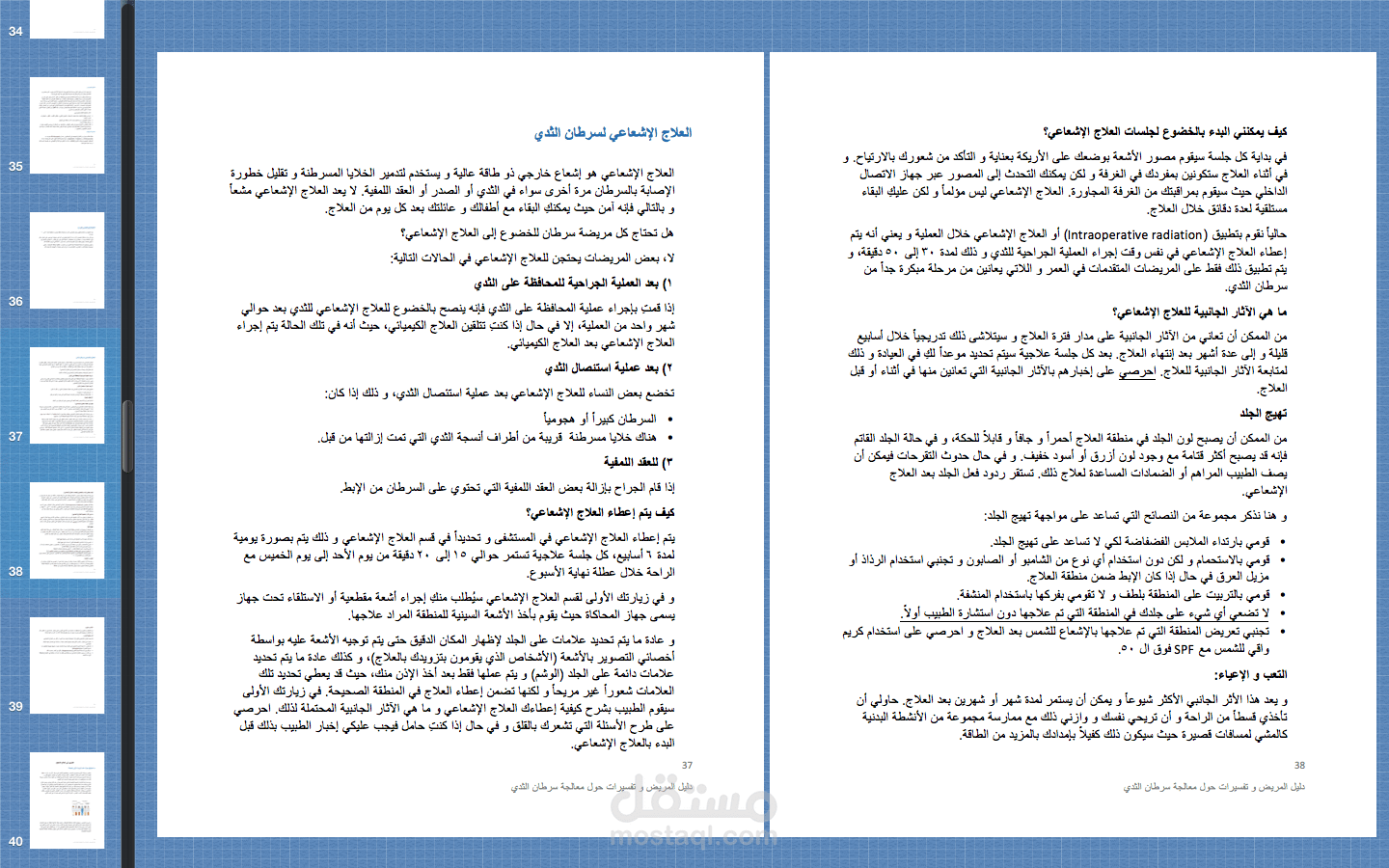 ترجمة وتدقيق ملفات PDF (كتيبات إرشادية)