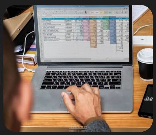 سأقوم بإدخال البيانات وتنظيمها باحترافية على Excel أو Google Sheets