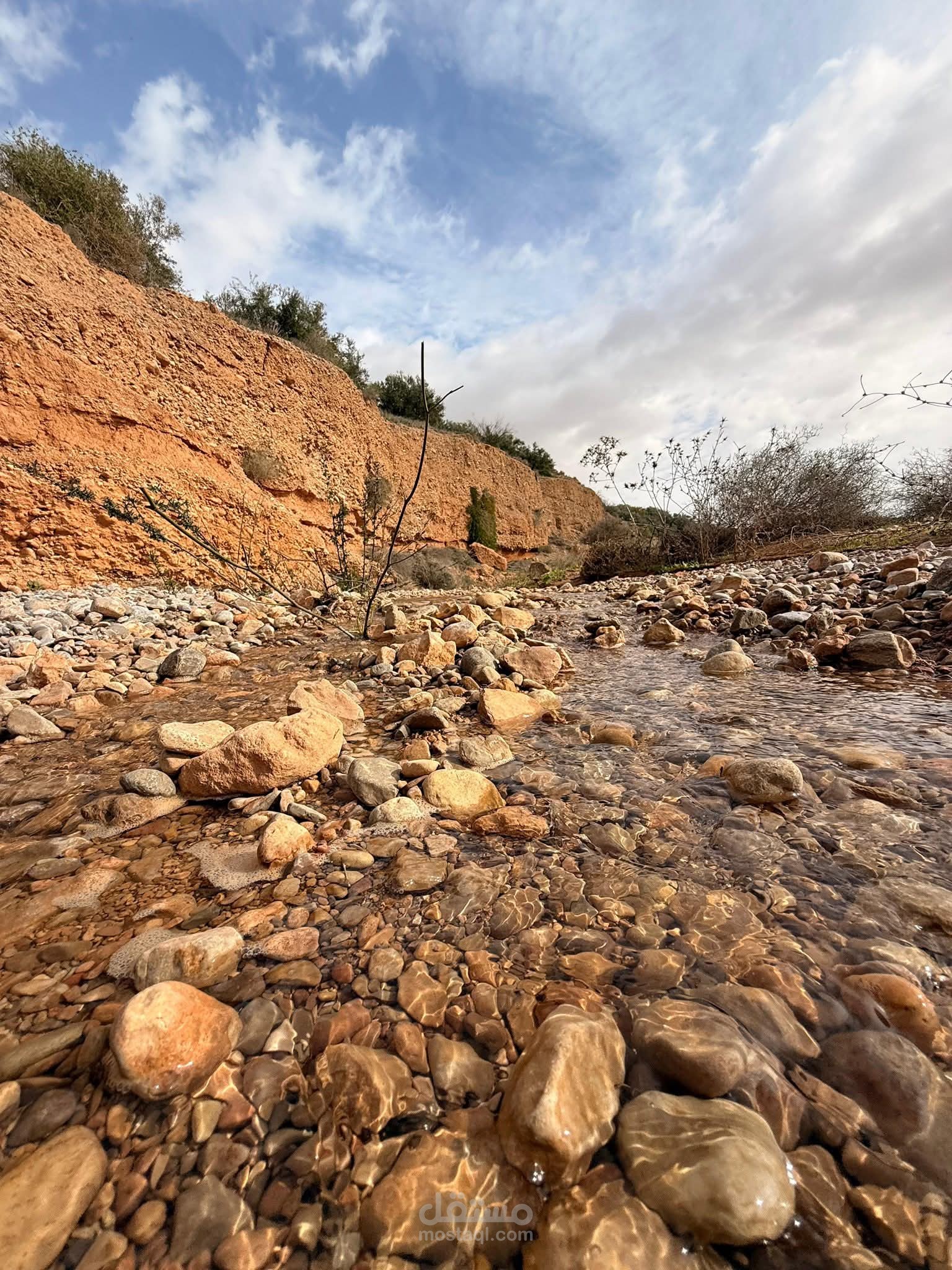 التعليق الصوتي #التعليقات