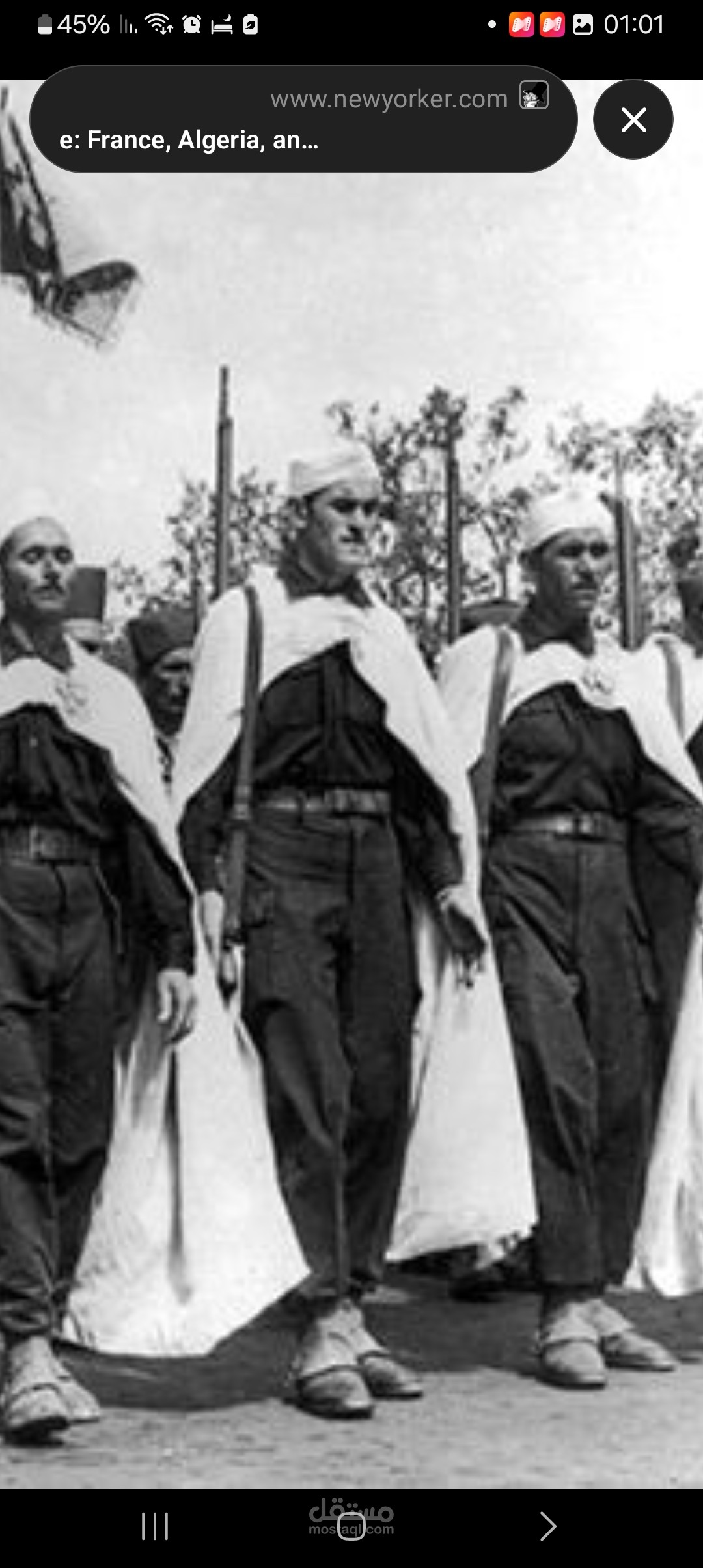 تعليق الصوتي عن التاريخ