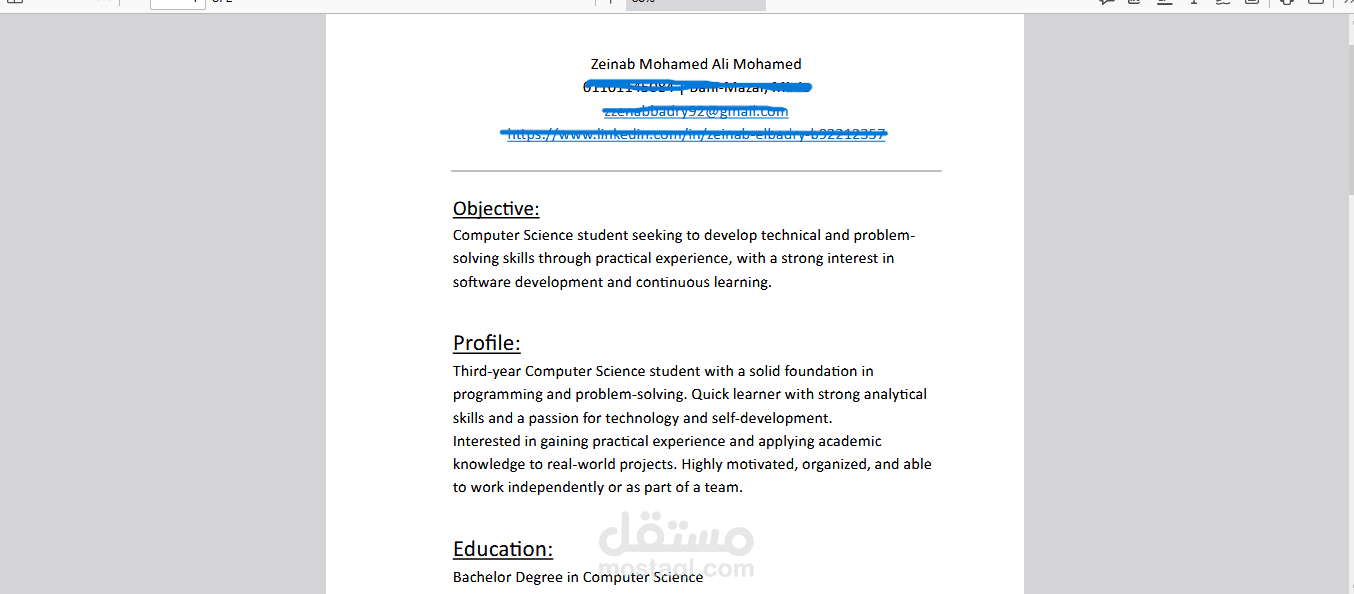 تصميم سيرة ذاتيه - CV