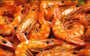 مشروع تسويقي استراتيجيات الاقتصاد الدائري