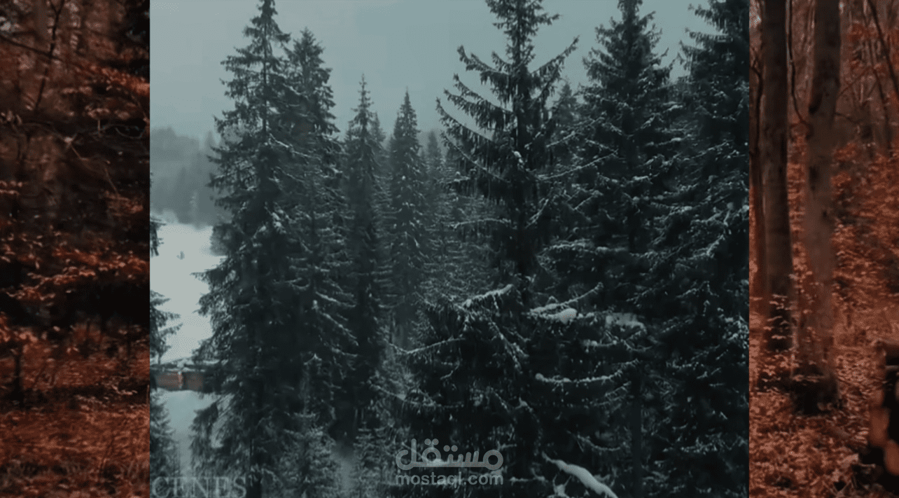 تصميم فيديو إعلاني قصير مستوحى من الطبيعة للسوشيال ميديا