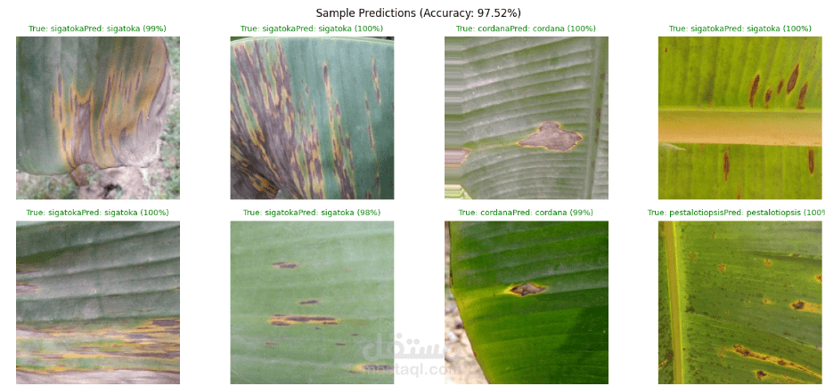 تطوير نموذج ذكاء اصطناعي لكشف أمراض أوراق النباتات