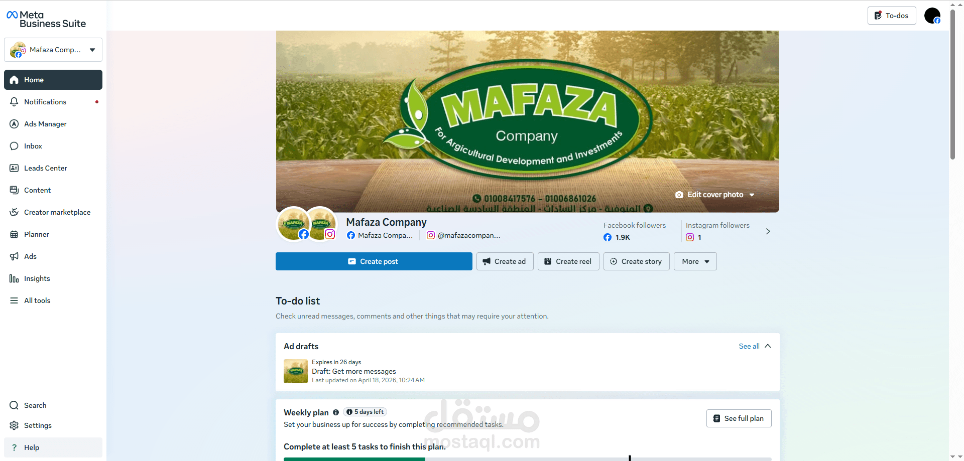 Social Media Management & Growth