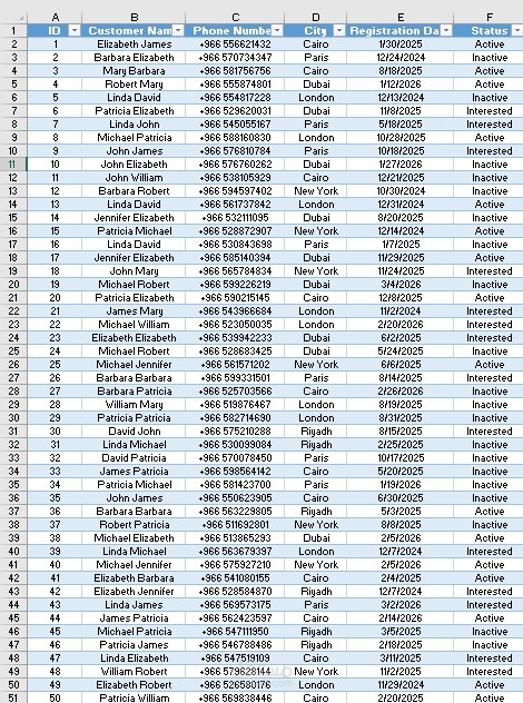 تنظيم وإدارة بيانات العملاء باستخدام Microsoft Excel