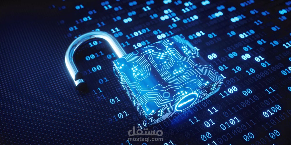 اختبار اختراق لموقع إلكتروني لاكتشاف الثغرات الأمنية