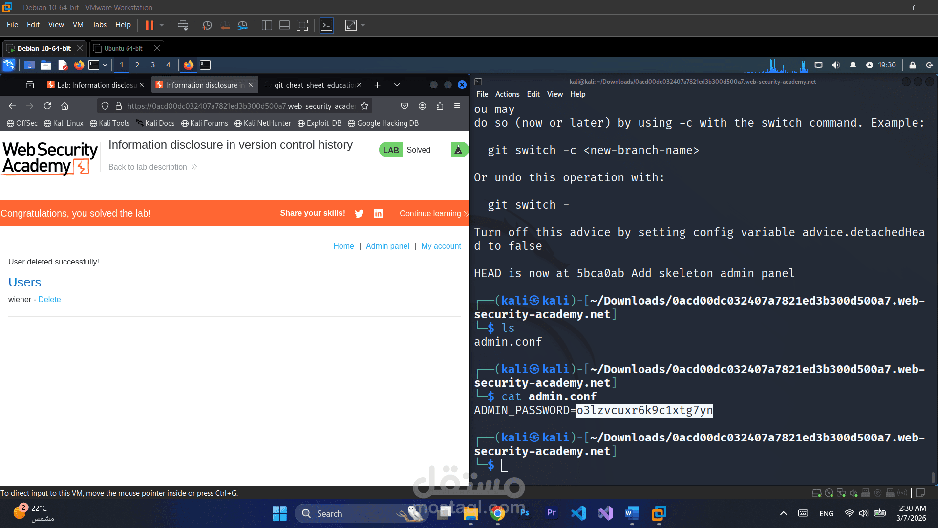 Information Disclosure Vulnerability Testing – Web Security Analysis