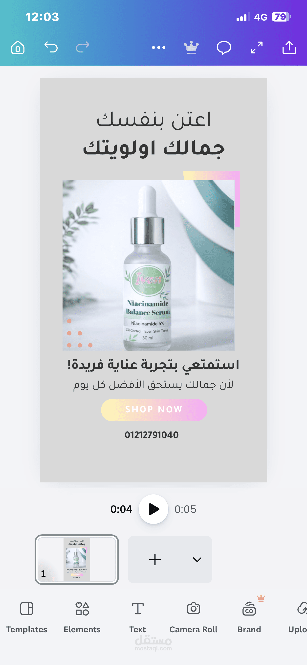 شبين القناطر القليوبيه