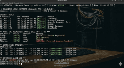 Project 3: NetWatch - Network Security Auditor