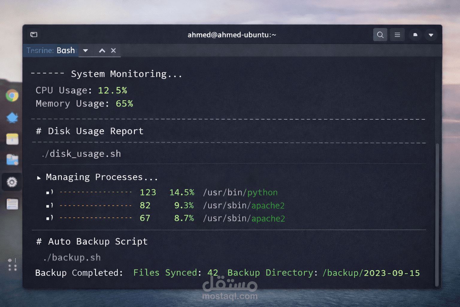 Linux Server Automation Script