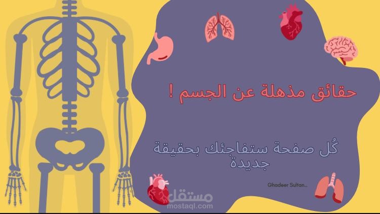 أعضاء الجسم