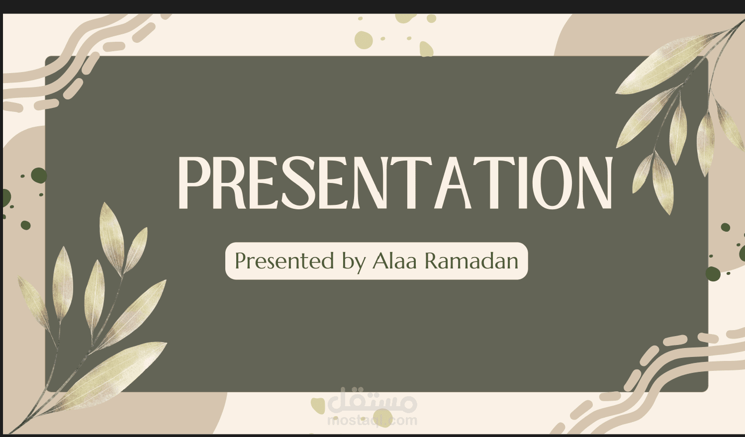 Career plan presentation