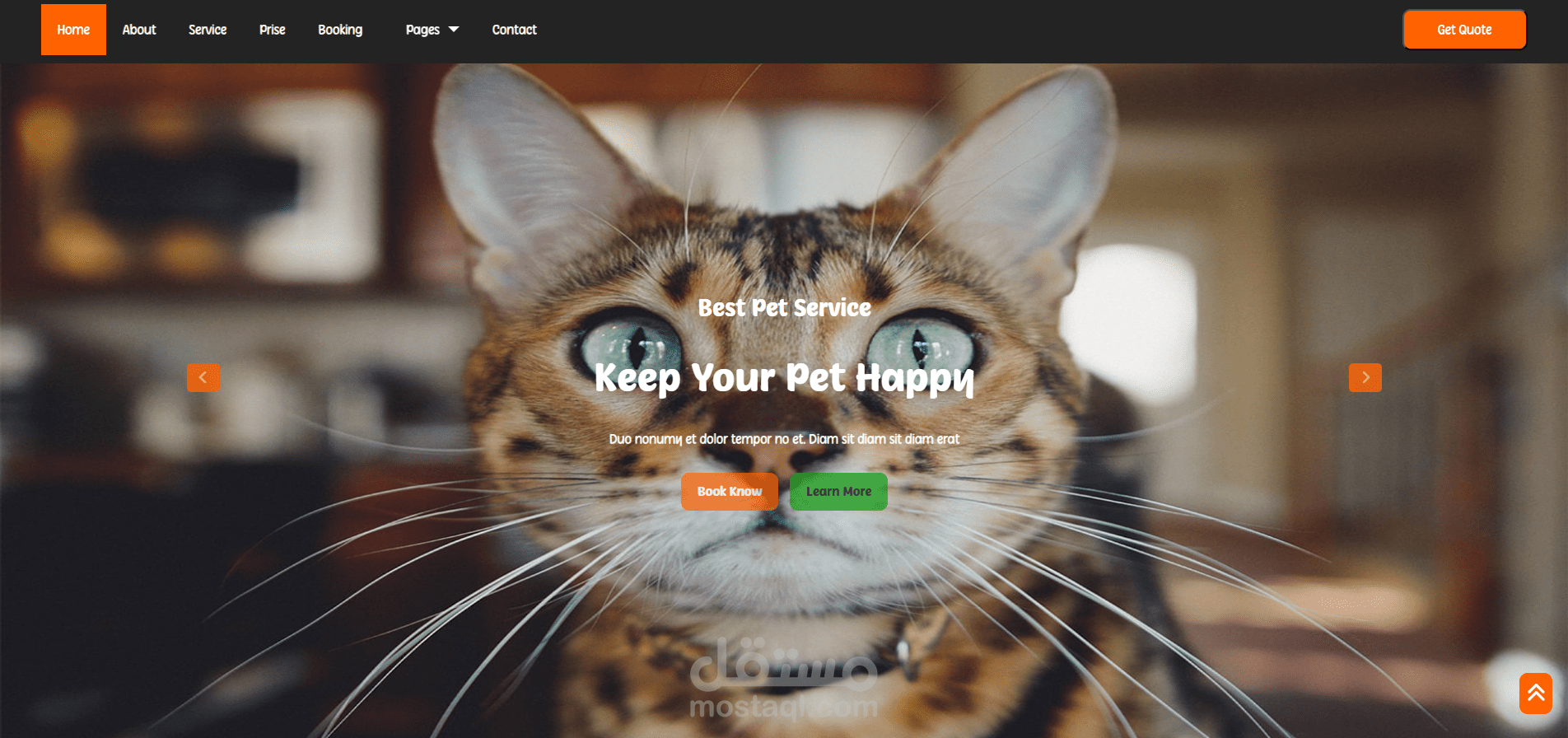 تصميم وتطوير موقع PetLover  لخدمات رعاية الحيوانات الأليفة