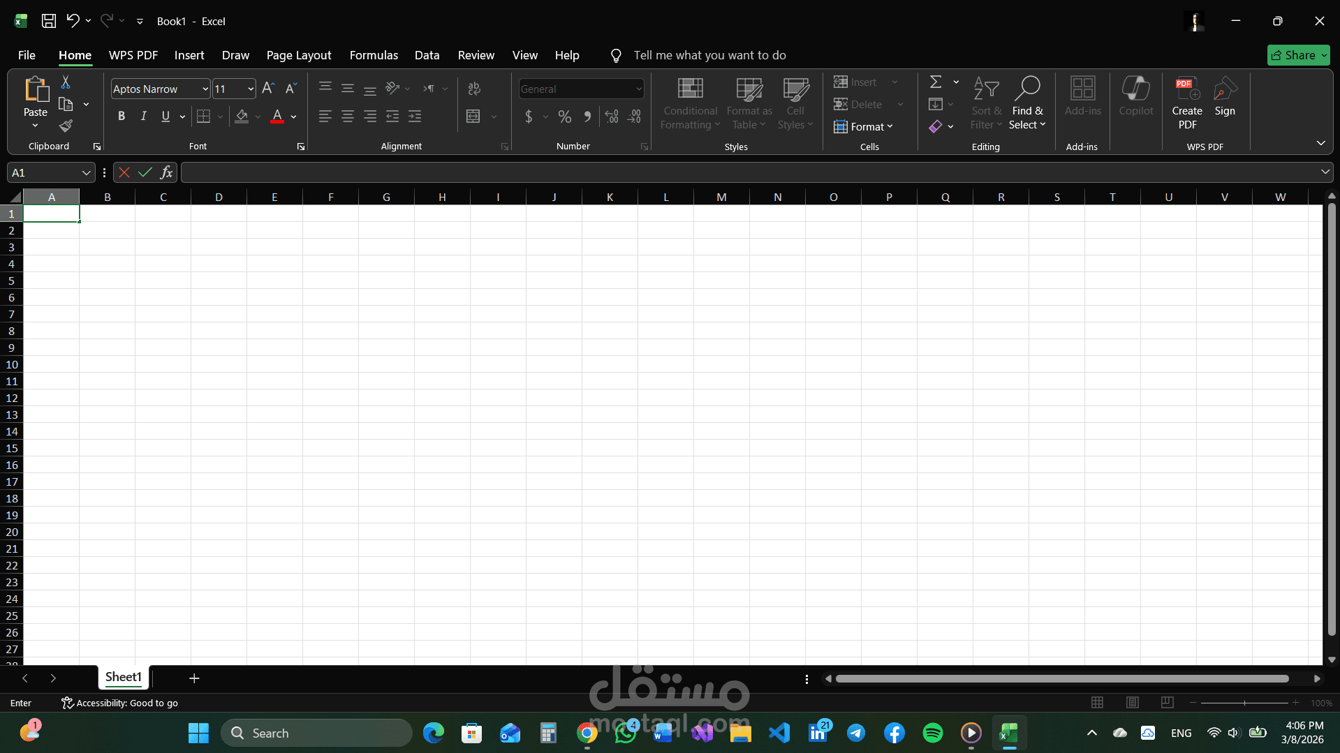 Data Entry and Excel Data Organization