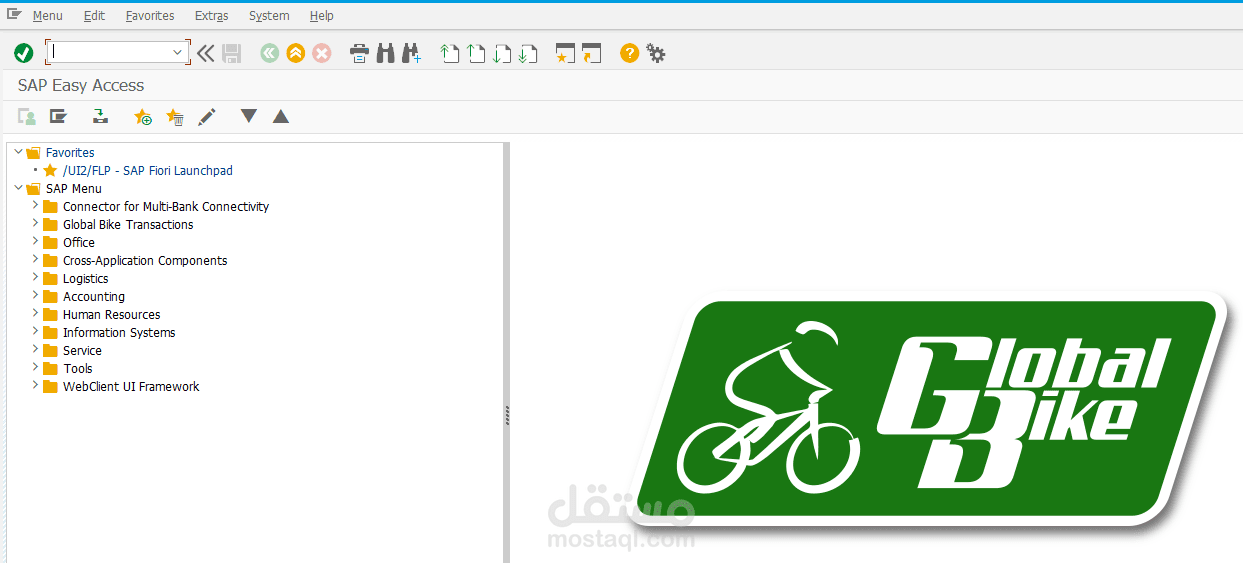 SAP FI ImplementationSimulation