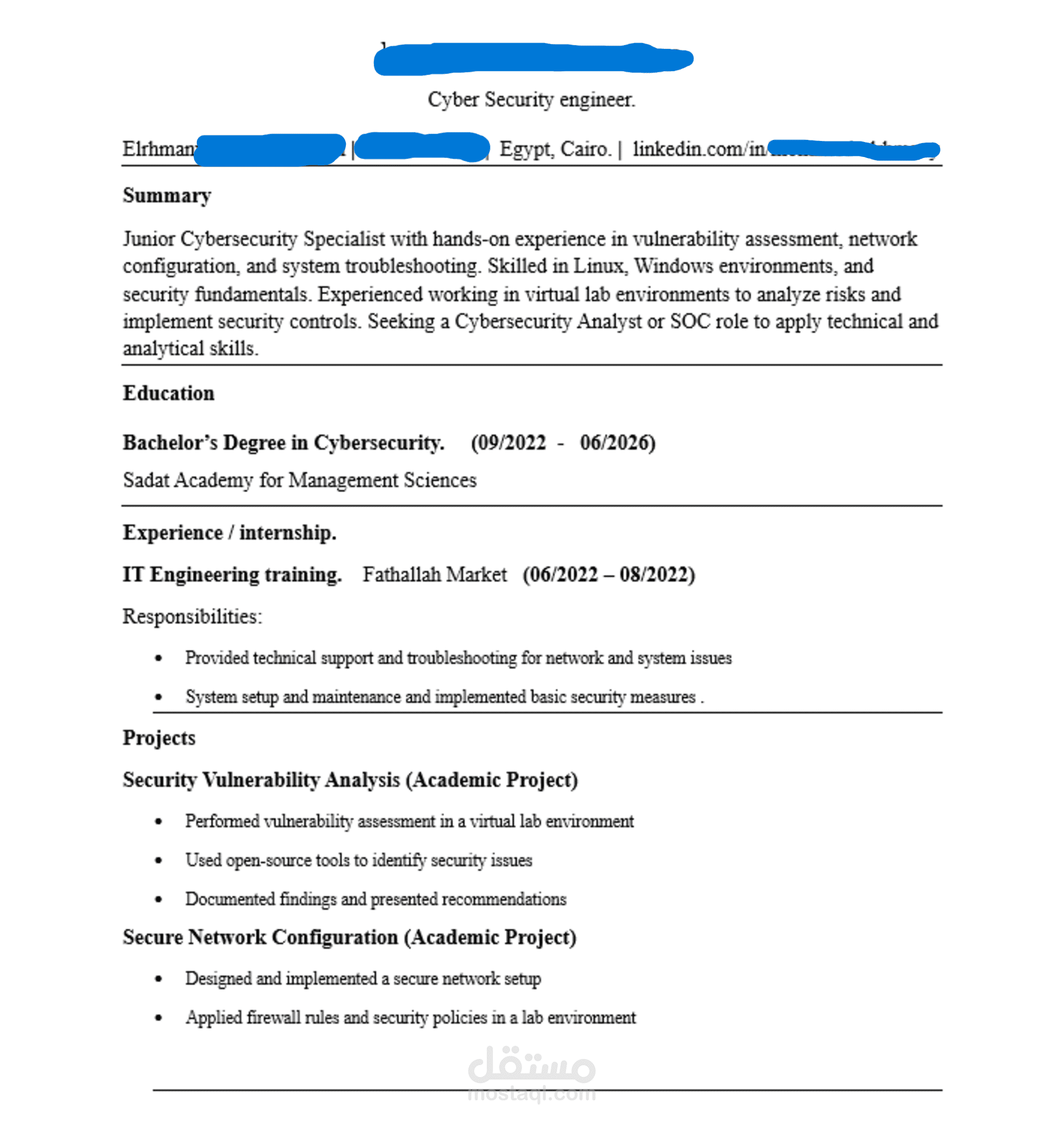 Professional CV Writing and ATS-Optimized