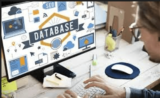 تطوير نظام إدارة بيانات ومراقبة أنظمة برمجية.